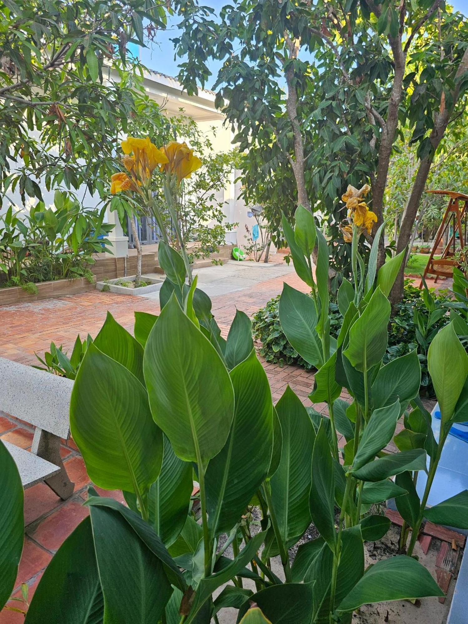 Cay Phuong Guesthouse Mui Ne Zewnętrze zdjęcie